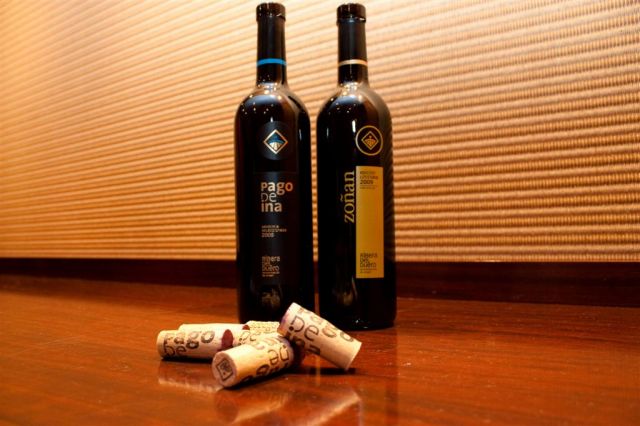 pago de ina-3 large.jpg